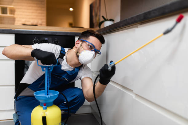Best Residential Pest Control  in Erie, CO