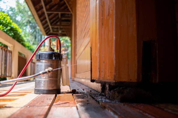 Best Exterminator Services  in Erie, CO