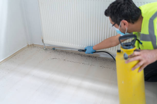 Best Local Pest Control Services  in Erie, CO